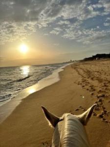 Apartment Albufeira Algarve מראה חיצוני תמונה